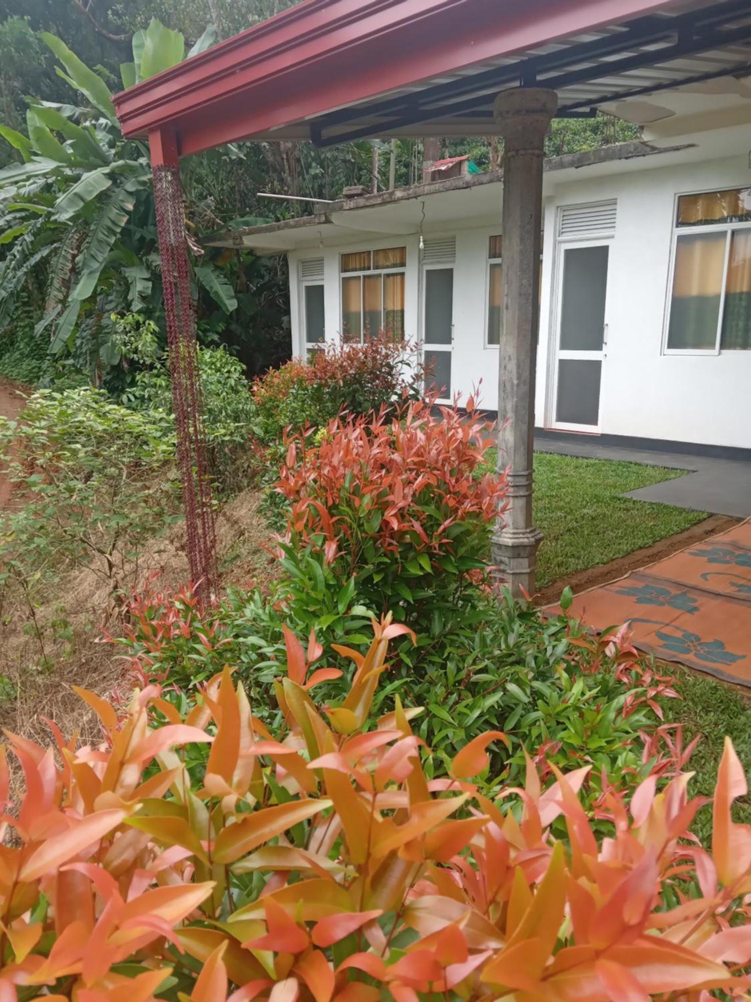 Rainforest Holiday Inn Deniyaya Exterior foto